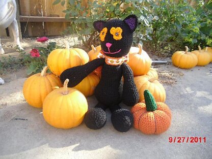 Midnight the Halloween Cat