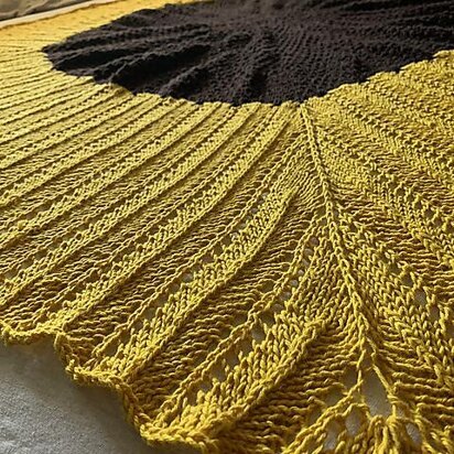 Sun Chaser - knitting pattern