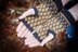 Bee Fingerless Mittens