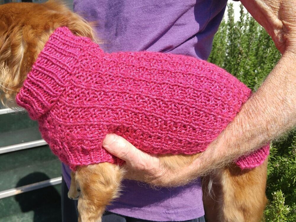 Dachshund sweater knitting pattern best sale