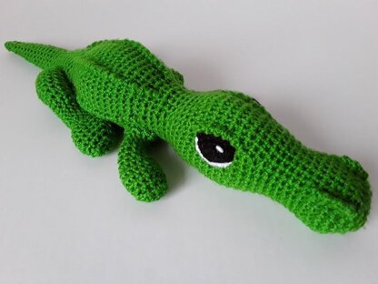 Crocodile - Alligator