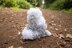 Deramores Old English Sheepdog PDF.