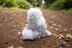 Old English Sheepdog in Deramores Studio Baby Soft DK - Downloadable PDF