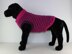 Chunky Stripe Dog Coat