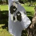 Bandit (raccoon) stroller blanket