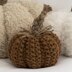 Project : Seed Stitch Pumpkin