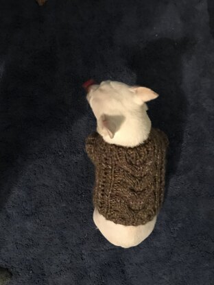 Cabled dog sweater
