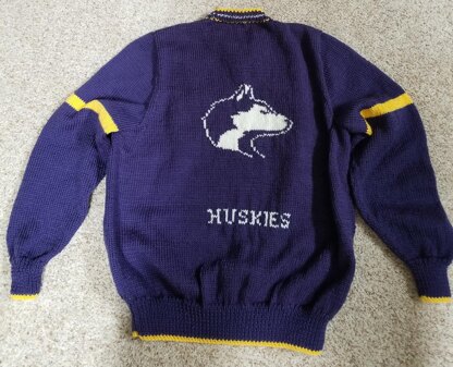 University of Washington Kids Sweater