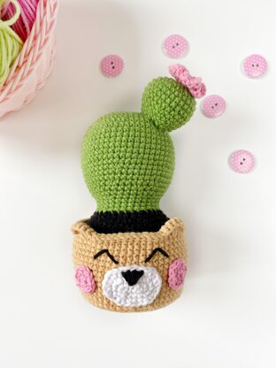 Cute cactus in a pot bear