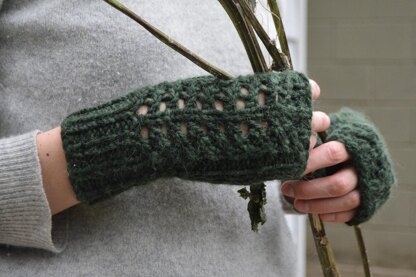 Ferny Mittens and Gloves