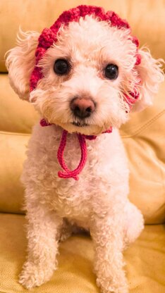 Cutie Pet Headband