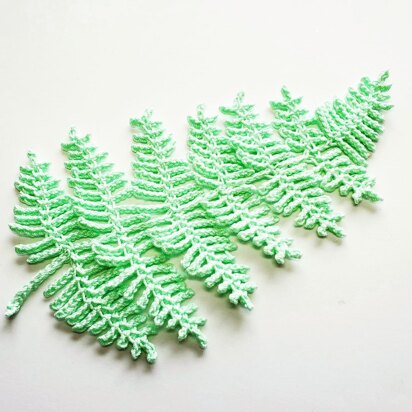 Fern Leaf