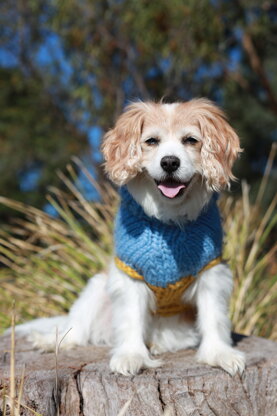 Dog's winter sweater