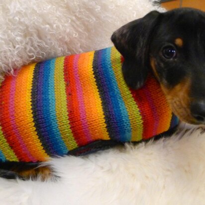 Otto's Coat of Many Colours Dog Coat - knitting pattern