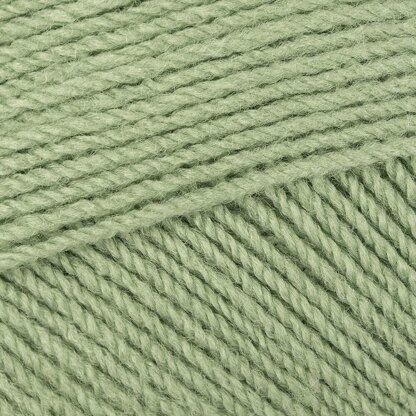 Parsley (3025)