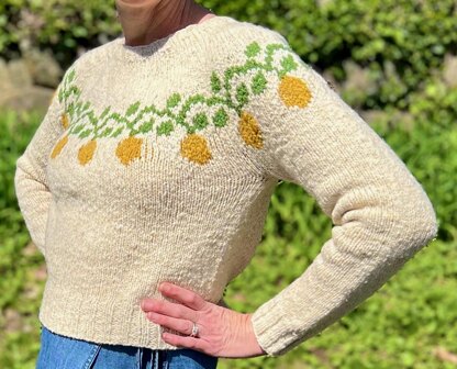 Lemon Vine Pullover