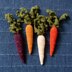 Whimsical Carrots