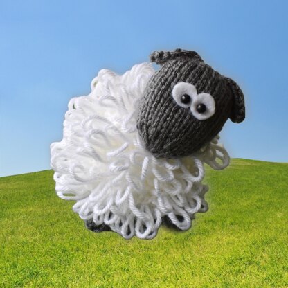 Curly the Sheep