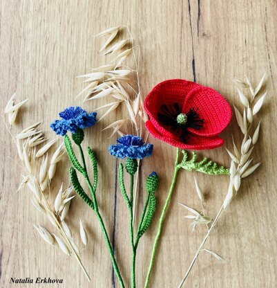 Cornflowers