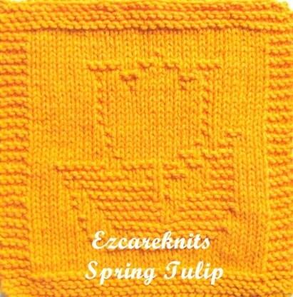 Spring Tulip