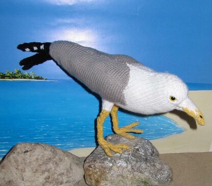 My Pet Seagull