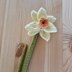 Knitted Daffodil