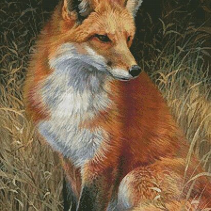 Red Fox Painting - #10651-CYP