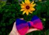 Pride Bows &Scrunchie Bundle