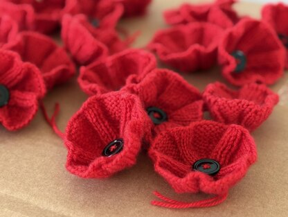 Poppy Flower