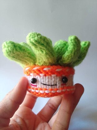 ECHEVERIA SUCCULENT knit