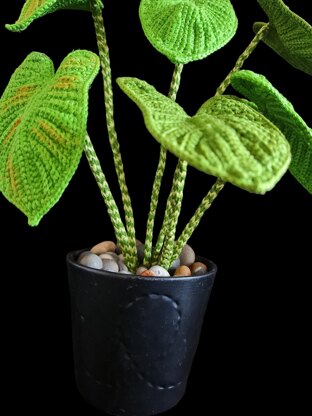 Crochet Elephant ear/Zebrina plant