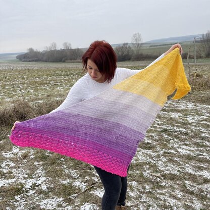 Aranel Shawl