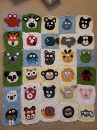 Animal blanket