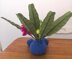 Oddish Vase Cosy