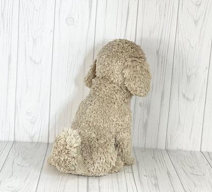 Havanese Dog