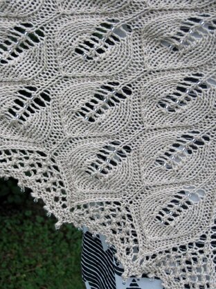 Anna's Shawl with Beads