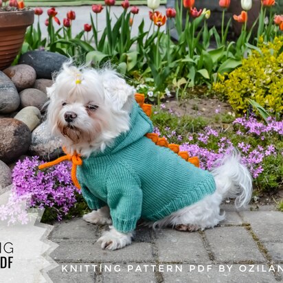 Dragon dog hoodie - knitting pattern