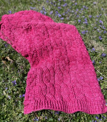 Raspberry Delight Cabled Stole