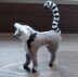 Ring-tailed lemur