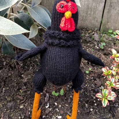 Rory the Rooster - knitting pattern