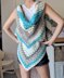 Caron Cakes Triangle Shawl/Vest