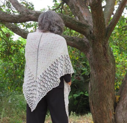 Paisagens Shawl