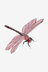 Dragonfly in DMC - PAT0478 -  Downloadable PDF