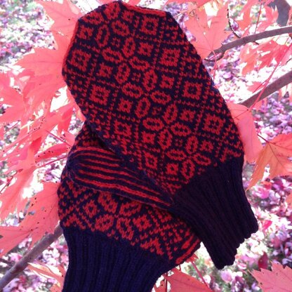 Winter Poppy Mittens