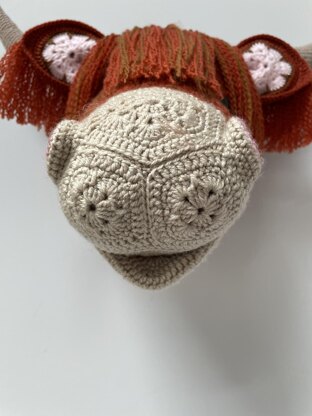 Heather the African flower highland cow head