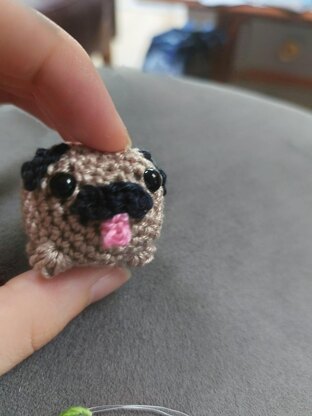 Pug