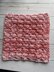 Coral Splash Dishcloth