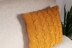 Butterscotch pillow cover