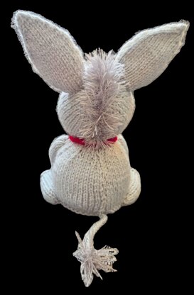 Zonkey Donkey Choc Orange Cosy