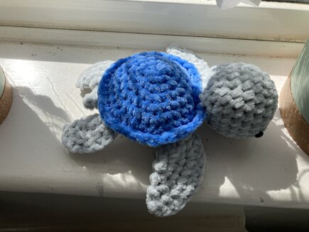 turtle #2